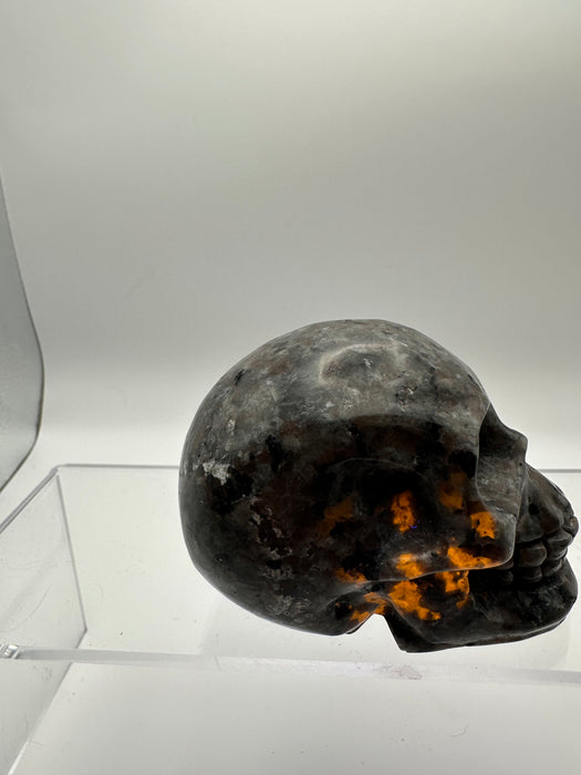 Syenite Sodalite UV Reaction Skull Carving - YD45