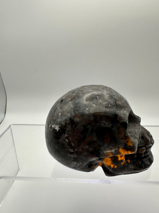 Syenite Sodalite UV Reaction Skull Carving - YD45