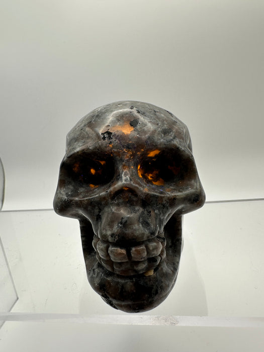 Syenite Sodalite UV Reaction Skull Carving - YD45