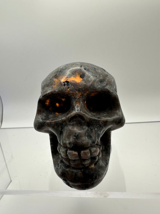 Syenite Sodalite UV Reaction Skull Carving - YD45