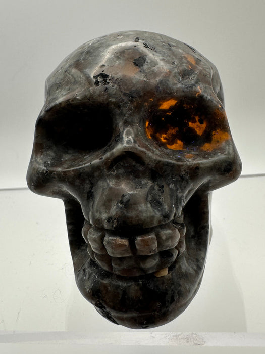 Syenite Sodalite UV Reaction Skull Carving - YD45