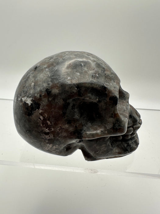 Syenite Sodalite UV Reaction Skull Carving - YD45