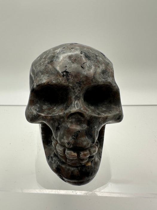 Syenite Sodalite UV Reaction Skull Carving - YD45